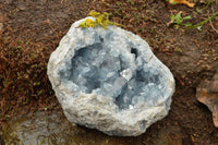 Natural Extra Large Celestite Geode With Large Cubic Crystals  x 1 From Sakoany, Madagascar - TopRock