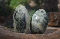 Polished Leopard Stone Standing Free Forms  x 6 From Zimbabwe - Toprock Gemstones and Minerals 