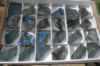 Polished One Side Polished Labradorite Pieces x 24 From Tulear, Madagascar