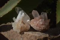 Natural Small Clear Quartz Crystal Specimens  x 35 From Madagascar