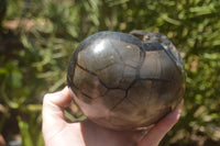 Polished Septaria Dragons Egg x 1 From Mahajanga, Madagascar - TopRock