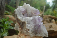 Natural Jacaranda Amethyst Cluster x 1 From Mumbwa, Zambia - TopRock