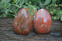 Polished Red Jasper Standing Free Forms  x 2 From Madagascar - Toprock Gemstones and Minerals 