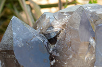 Natural XXL Self Healed Smokey Quartz Cluster  x 1 From Mt. Mulanje, Malawi - TopRock