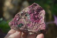 Natural Pink Salrose Cobaltion Dolomite Specimens x 6 From Kakanda, Congo