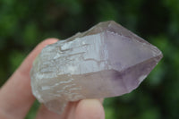 Natural Single Zambian Jacaranda Amethyst Points - Sold per 1.6 kg (24 points per tray) - From Mumbwa, Zambia - TopRock