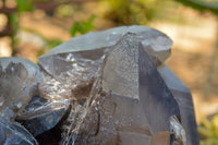 Natural XXL Self Healed Smokey Quartz Cluster  x 1 From Mt. Mulanje, Malawi - TopRock