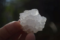 Natural White Spirit Cactus Flower Quartz Crystals x 70 From Boekenhouthoek, South Africa