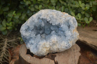 Natural Blue Celestite Geode Specimen  x 1 From Sakoany, Madagascar