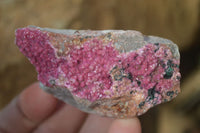 Natural Salrose Cobaltion Dolomite Specimens x 12 From Kakanda, Congo