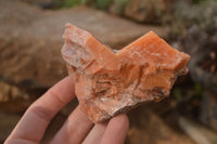 Natural New Sunset Orange Calcite Specimens  x 12 From Spitzkop, Namibia