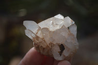 Natural Small Clear Quartz Crystal Specimens  x 35 From Madagascar