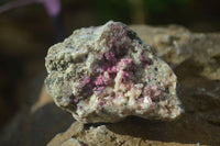 Natural Pink Salrose Cobaltion Dolomite Specimens x 6 From Kakanda, Congo