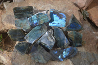 Polished One Side Polished Labradorite Pieces x 24 From Tulear, Madagascar