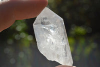 Natural Semi Optic Single Quartz Crystals x 63 From Zambia - TopRock