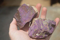 Natural Selected Rough Purpurite Specimens  x 6 From Namibia - TopRock