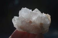 Natural White Cactus Flower Spirit Quartz Specimens  x 12 From Boekenhouthoek, South Africa - Toprock Gemstones and Minerals 