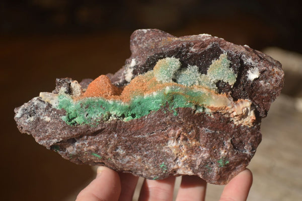 Natural Drusy Coated Malachite & Native Copper On Red Dolomite Matrix  x 2 From Likasi, Congo