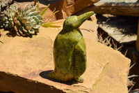 Polished Leopard Stone Penguin Carvings  x 2 From Zimbabwe - TopRock