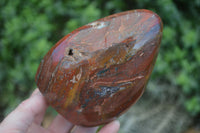 Polished Red Jasper Standing Free Forms  x 2 From Madagascar - Toprock Gemstones and Minerals 