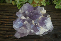 Natural Large Jacaranda Amethyst Cluster  x 1 From Mumbwa, Zambia - Toprock Gemstones and Minerals 