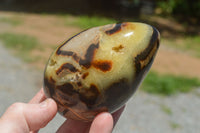 Polished Septaria Dragon's Eggs (Calcite & Aragonite) x 3 From Mahajanga, Madagascar - TopRock