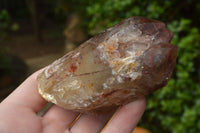 Natural Red Hematoid Phantom Quartz Crystals/Clusters x 12 From Zimbabwe - TopRock