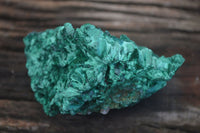 Natural Chatoyant Silky Malachite Specimens  x 6 From Kasompe, Congo - TopRock