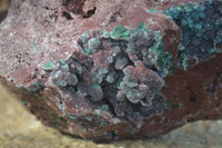 Natural Drusi Quartz Coated Malachite In Red Copper Dolomite  x 1 From Likasi, Congo - Toprock Gemstones and Minerals 