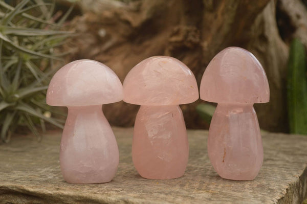 Polished Gemmy Pink Rose Quartz Mushrooms  x 6 From Madagascar - TopRock