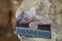 Natural Single Window Amethyst Crystals  x 12 From Chiredzi, Zimbabwe