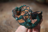 Natural Large Dioptase With Malachite Specimens x 2 From Likasi, Congo