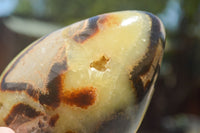 Polished Septaria Dragon's Eggs (Calcite & Aragonite) x 3 From Mahajanga, Madagascar - TopRock