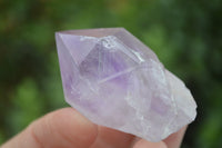 Natural Single Zambian Jacaranda Amethyst Points - Sold per 1.6 kg (24 points per tray) - From Mumbwa, Zambia - TopRock