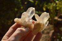 Natural Small Quartz Clusters With Long Intact Crystals  x 24 From Mandrosonoro, Madagascar - TopRock