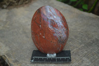 Polished Red Jasper Standing Free Forms  x 2 From Madagascar - Toprock Gemstones and Minerals 