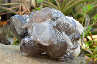 Natural XXL Self Healed Smokey Quartz Cluster  x 1 From Mt. Mulanje, Malawi - TopRock