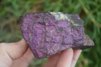 Natural Metallic Purpurite Cobbed Specimens  x 6 From Erongo, Namibia - Toprock Gemstones and Minerals 