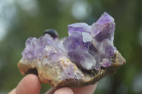 Natural Conglomerate Amethyst Clusters (Man Made) x 6 From Chiredzi, Zimbabwe - TopRock