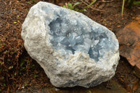 Natural Extra Large Celestite Geode With Large Cubic Crystals  x 1 From Sakoany, Madagascar - TopRock