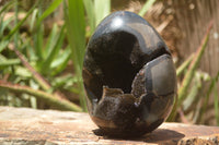 Polished Septaria Dragons Egg x 1 From Mahajanga, Madagascar - TopRock