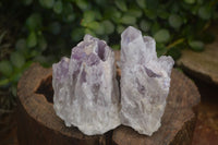 Natural Sugar Amethyst Clusters  x 12 From Solwezi, Zambia - Toprock Gemstones and Minerals 