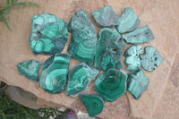 Polished Flower Banded Malachite Slices  x 24 From Congo - Toprock Gemstones and Minerals 