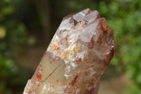 Natural Red Hematoid Phantom Quartz Crystals/Clusters x 12 From Zimbabwe - TopRock