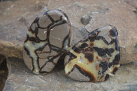 Polished Septerye (Calcite & Aragonite) Free Forms  x 6 From Mahajanga, Madagascar - Toprock Gemstones and Minerals 