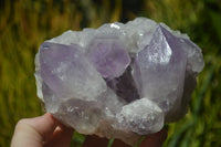 Natural Jacaranda Amethyst Clusters x 2 From Mumbwa, Zambia - TopRock