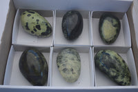 Polished Spotted Leopard Stone Free Forms  x 6 From Zimbabwe - Toprock Gemstones and Minerals 