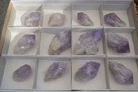 Natural Single Jacaranda Amethyst Crystals  x 12 From Mumbwe, Zambia - Toprock Gemstones and Minerals 