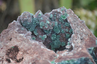 Natural Drusi Quartz Coated Malachite In Red Copper Dolomite  x 1 From Likasi, Congo - Toprock Gemstones and Minerals 