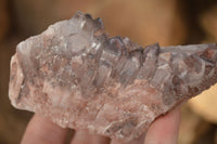 Natural Red Hematoid Phantom Quartz Clusters x 6 From Zambia